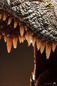Jurassic World Dominion T-Rex Buste 1/3 Queen Studios